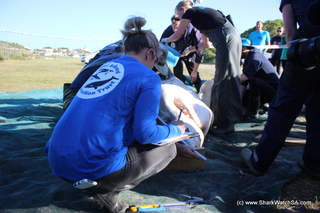 Image: Marine Dynamics